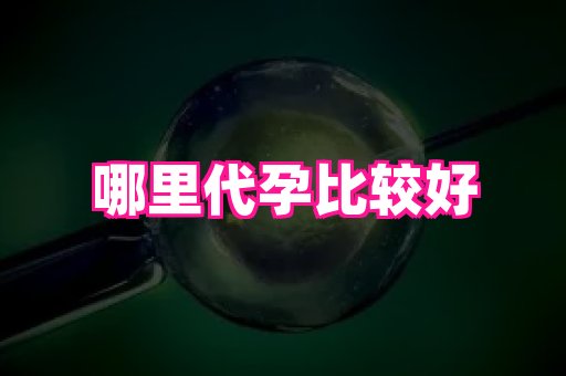 61助孕网 3